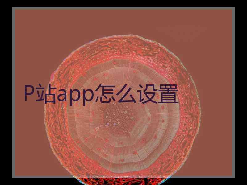 P站app怎么设置 P站app怎么设置