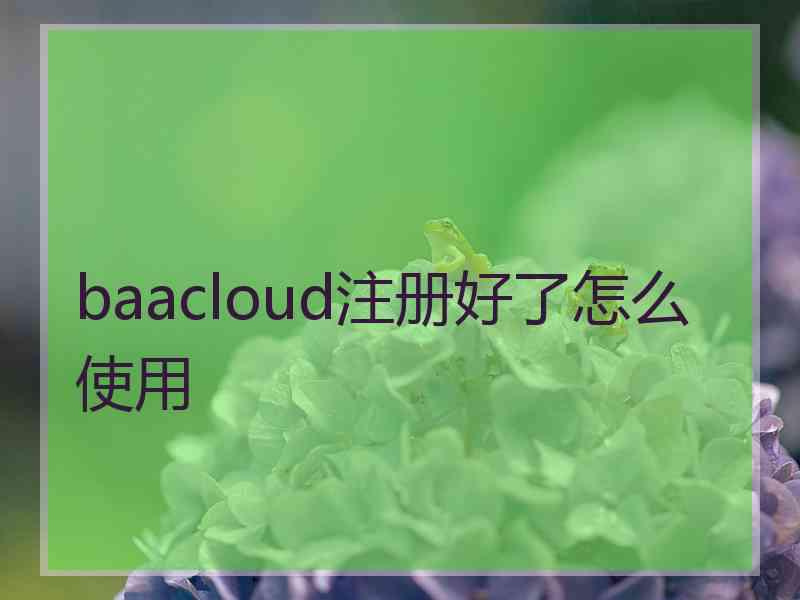baacloud注册好了怎么使用 baacloud注册好了怎么使用