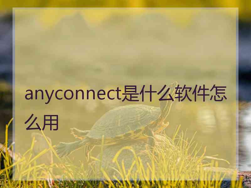 anyconnect是什么软件怎么用