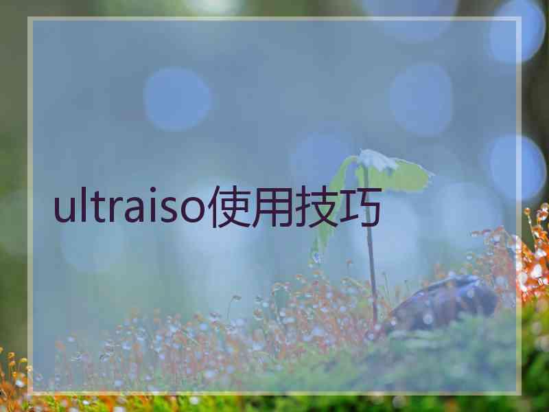 ultraiso使用技巧