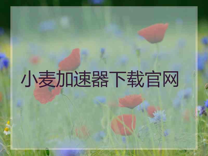 小麦加速器下载官网