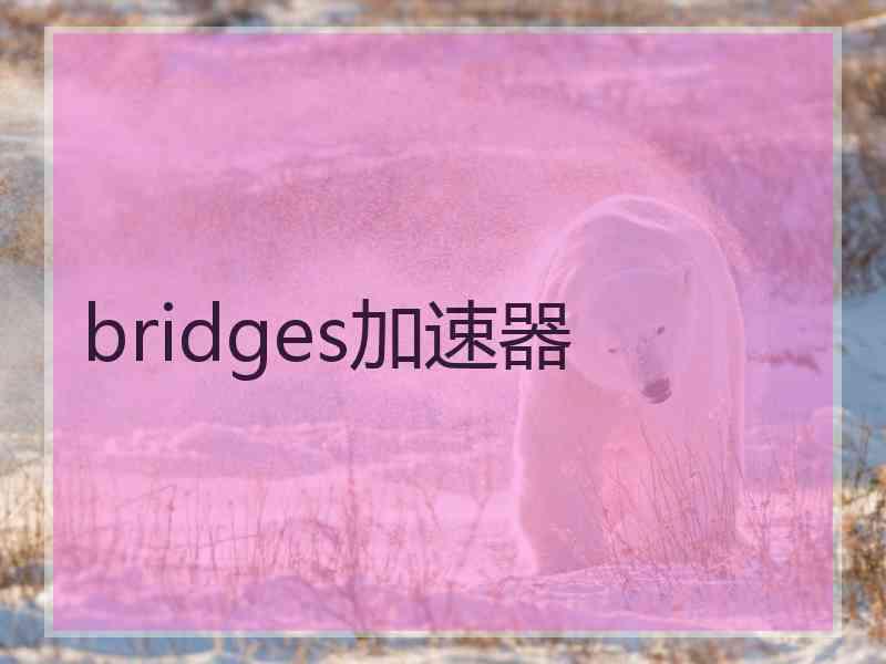 bridges加速器