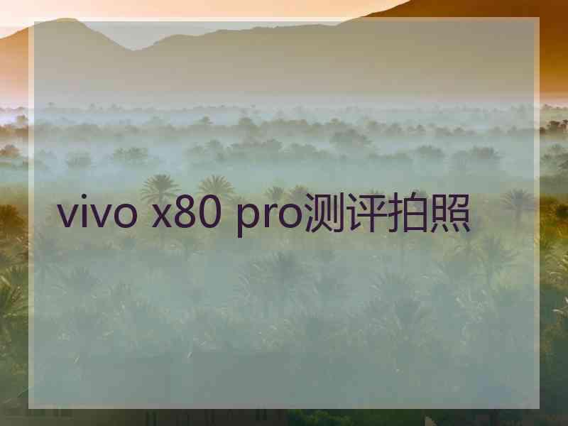 vivo x80 pro测评拍照