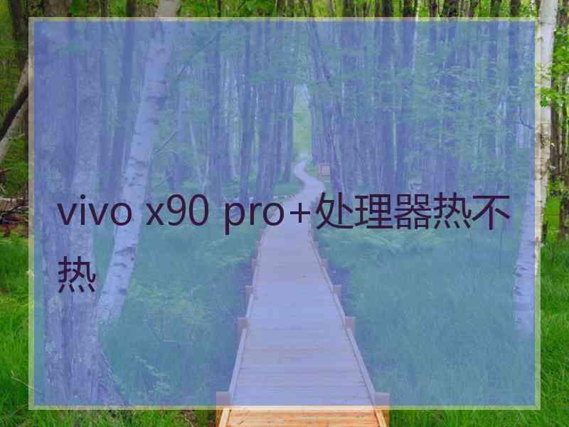 vivo x90 pro+处理器热不热