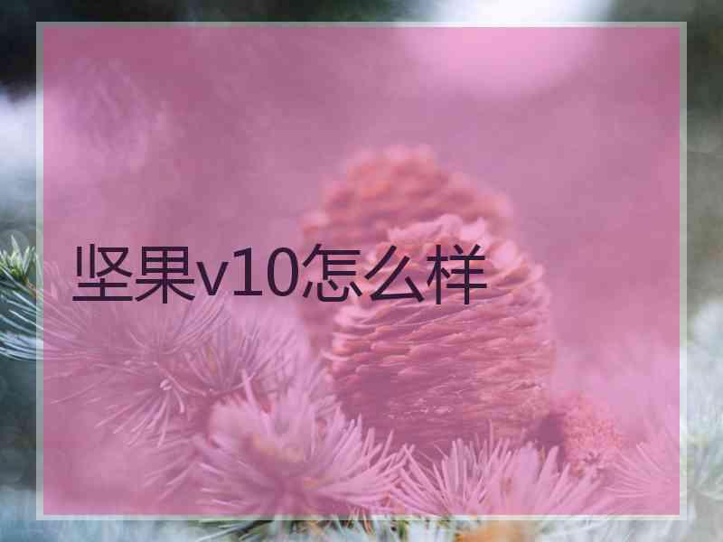 坚果v10怎么样