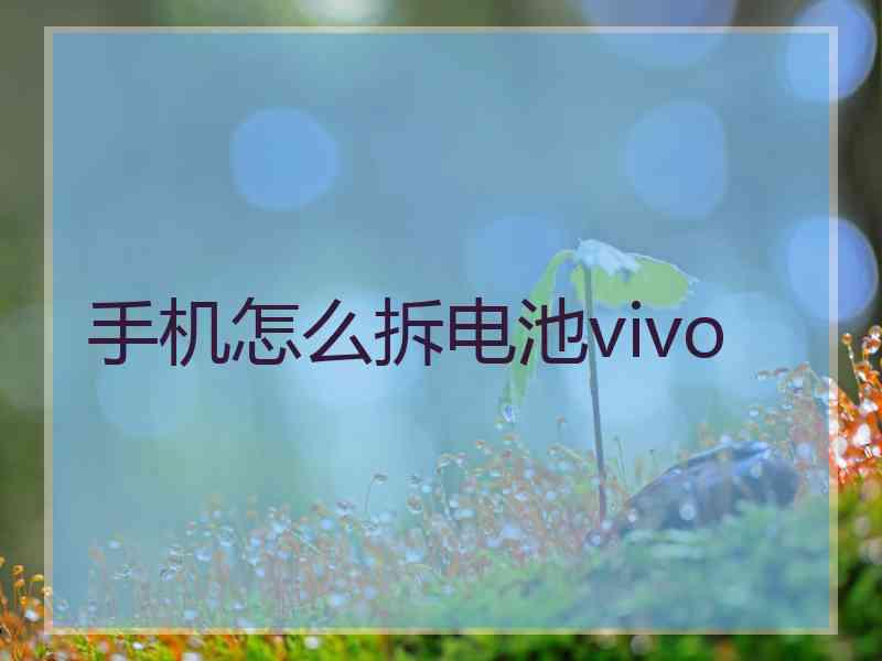 手机怎么拆电池vivo