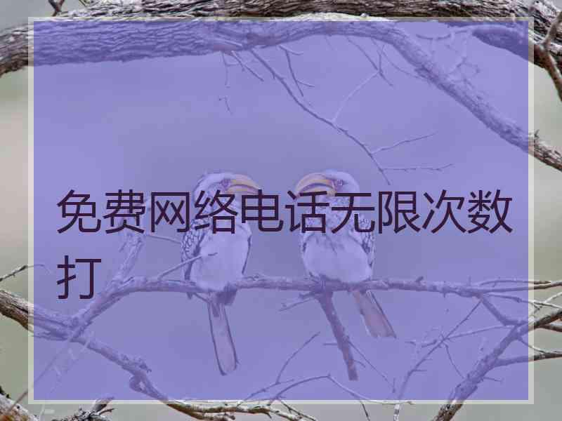 免费网络电话无限次数打