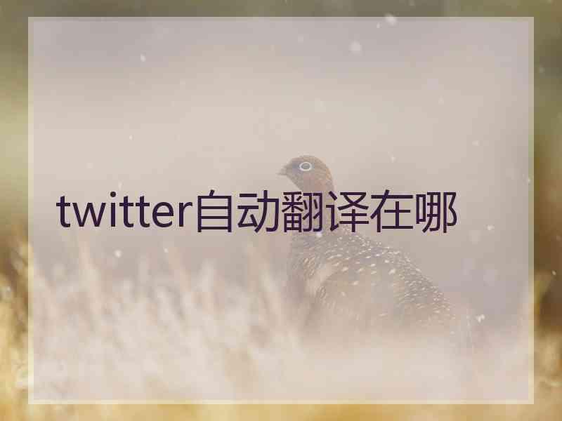 twitter自动翻译在哪