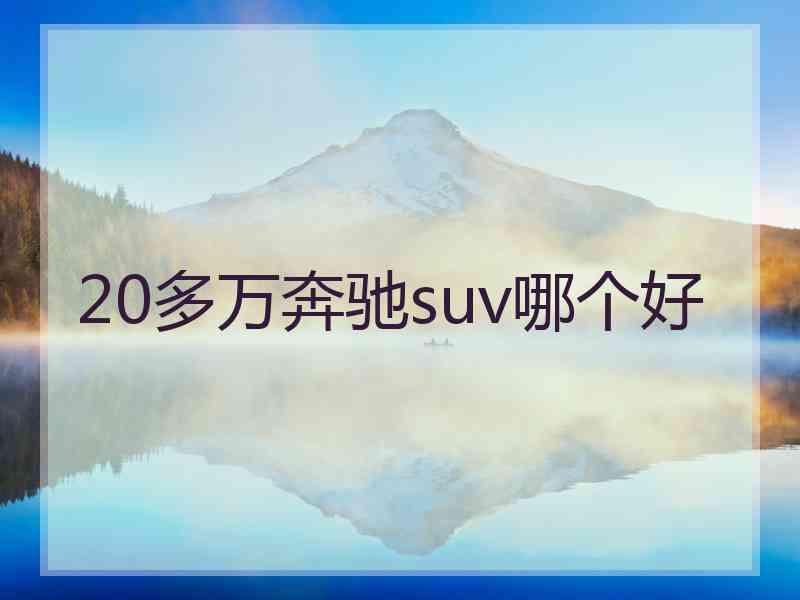 20多万奔驰suv哪个好