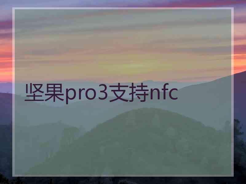 坚果pro3支持nfc