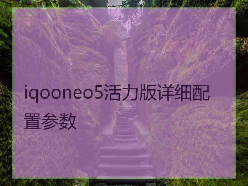 iqooneo5活力版详细配置参数