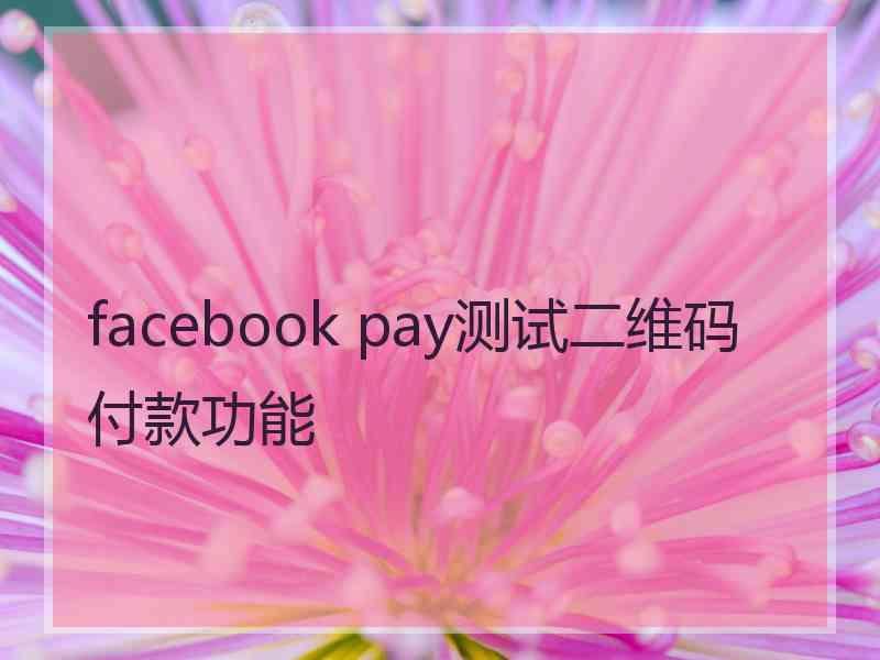 facebook pay测试二维码付款功能