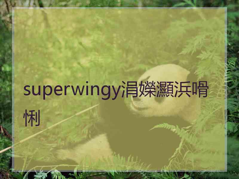 superwingy涓嬫灦浜嗗悧