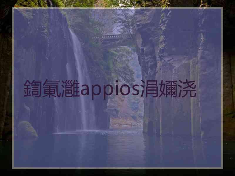 鍧氭灉appios涓嬭浇