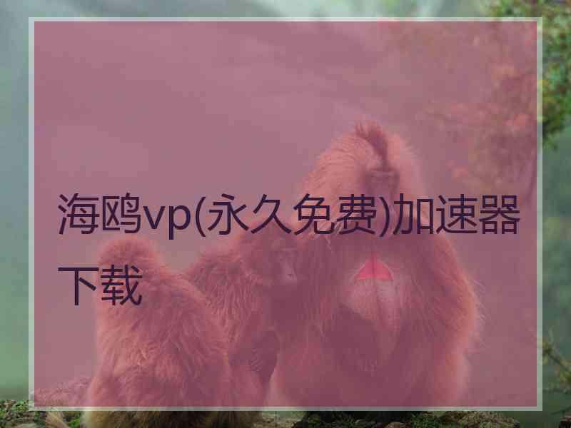 海鸥vp(永久免费)加速器下载