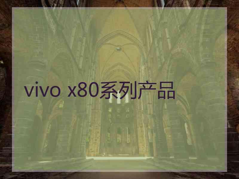 vivo x80系列产品