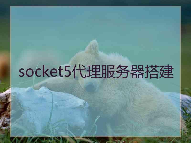 socket5代理服务器搭建