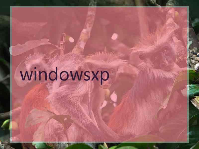 windowsxp