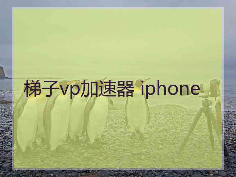 梯子vp加速器 iphone