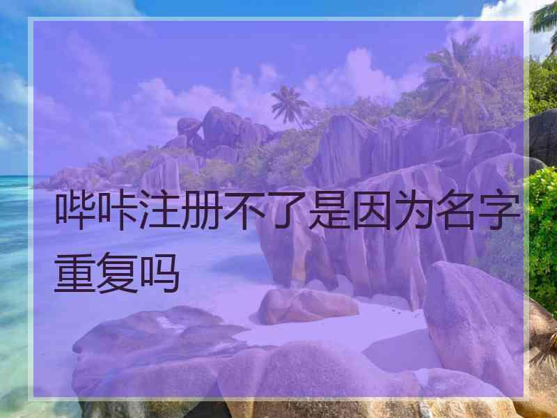 哔咔注册不了是因为名字重复吗