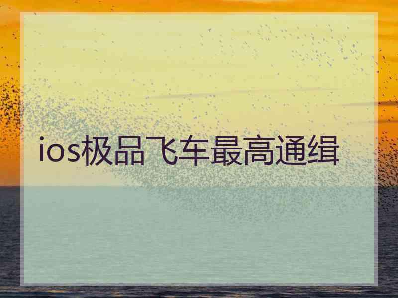 ios极品飞车最高通缉