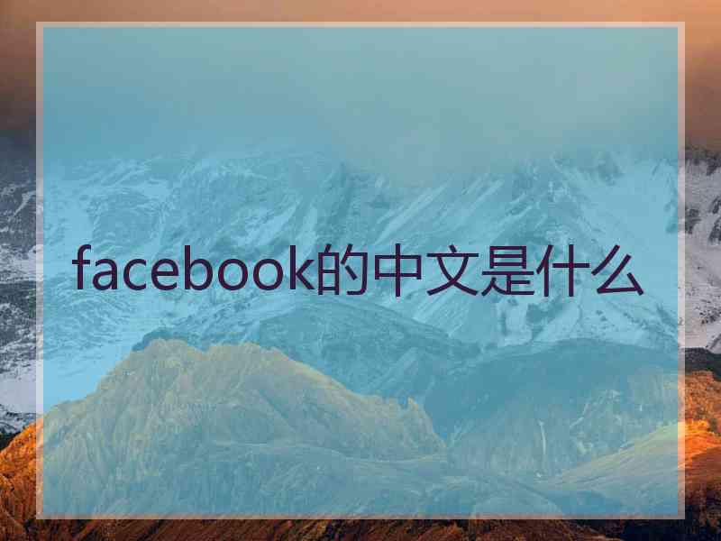 facebook的中文是什么