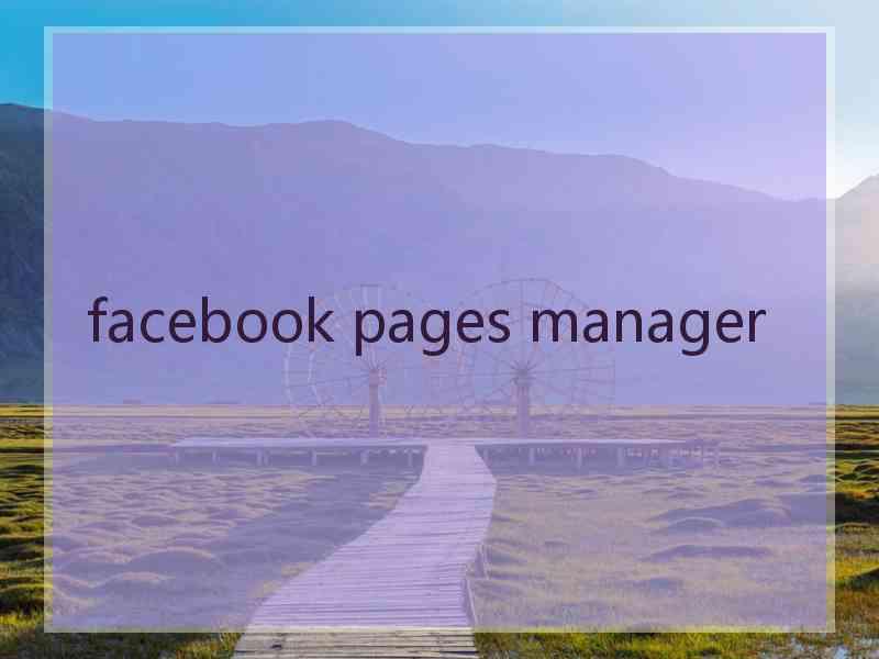 facebook pages manager