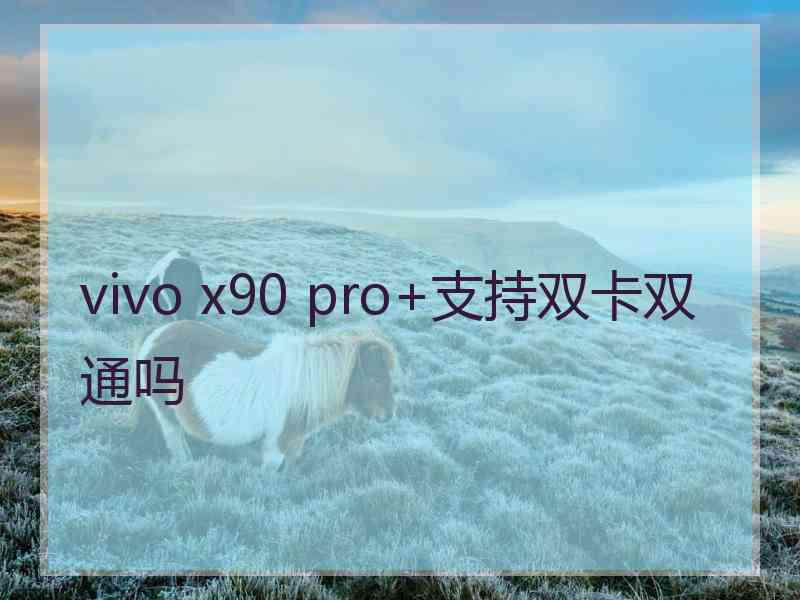 vivo x90 pro+支持双卡双通吗