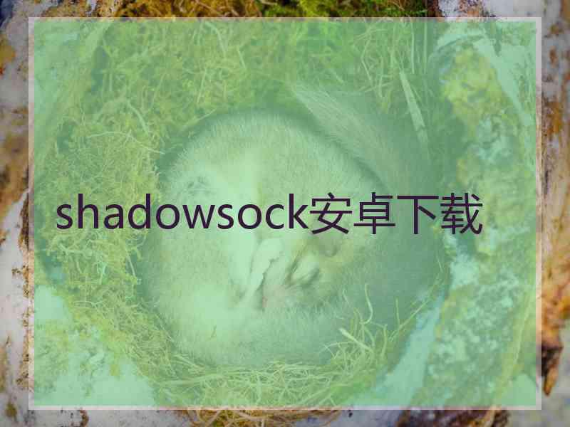 shadowsock安卓下载