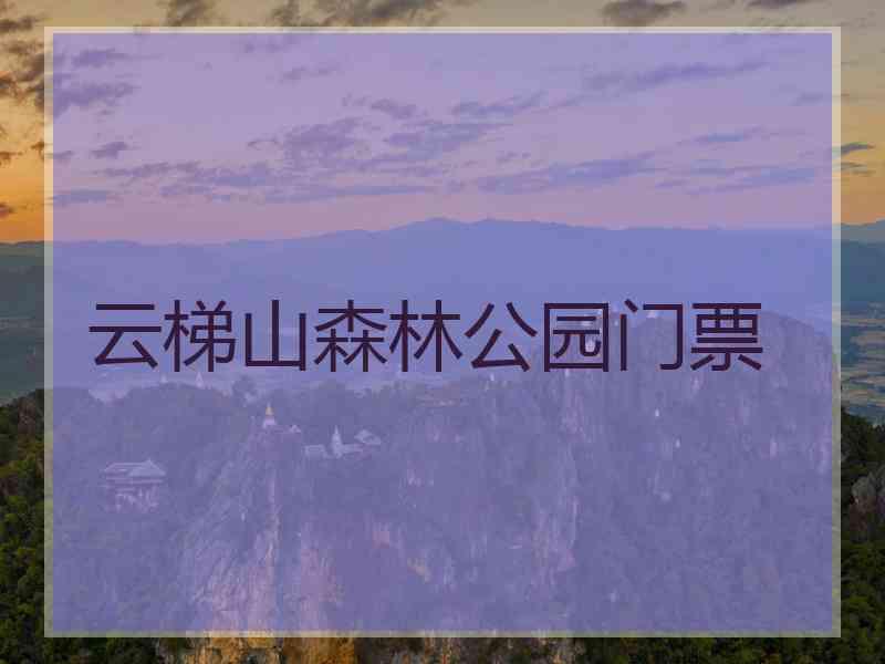 云梯山森林公园门票