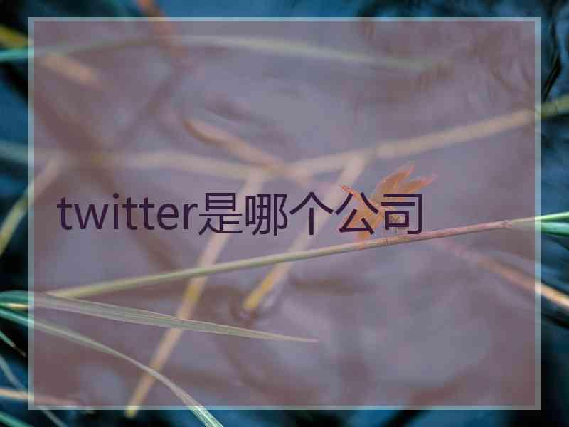 twitter是哪个公司