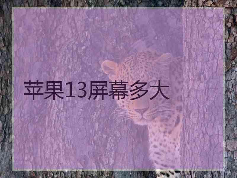 苹果13屏幕多大