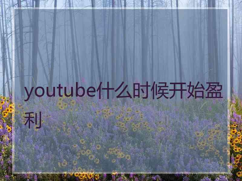 youtube什么时候开始盈利