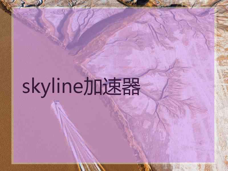 skyline加速器