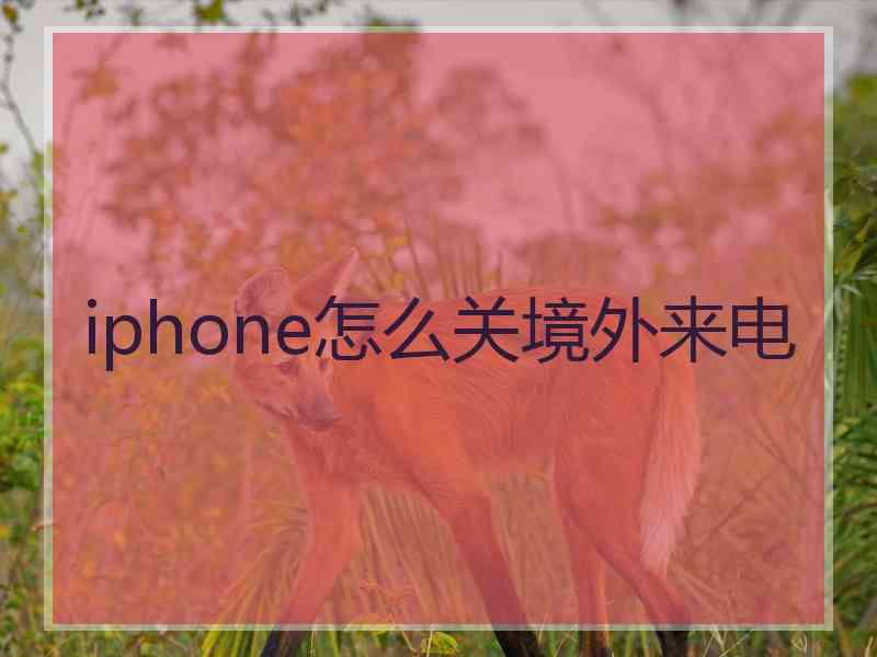 iphone怎么关境外来电