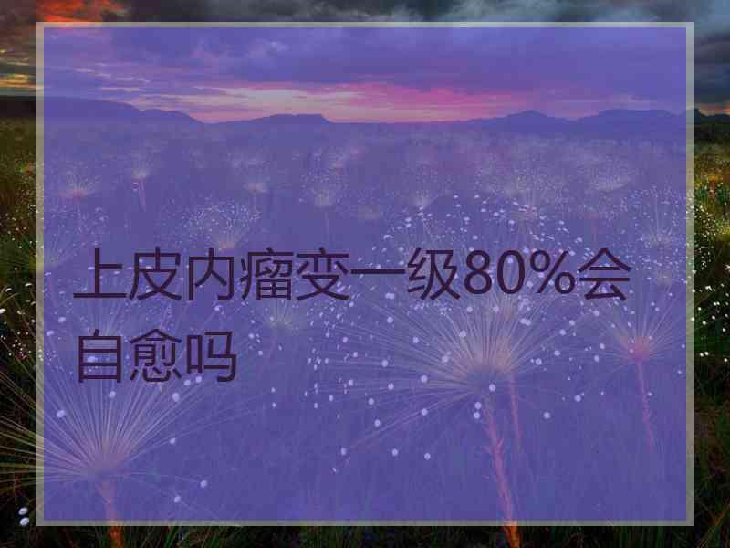 上皮内瘤变一级80%会自愈吗