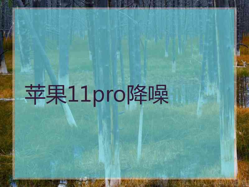 苹果11pro降噪