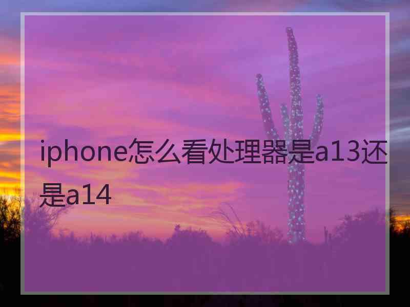 iphone怎么看处理器是a13还是a14