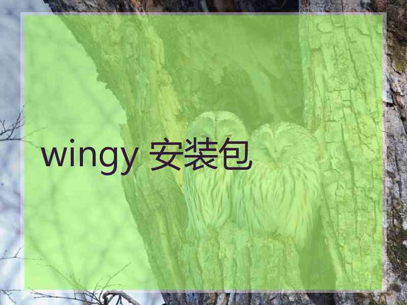 wingy 安装包