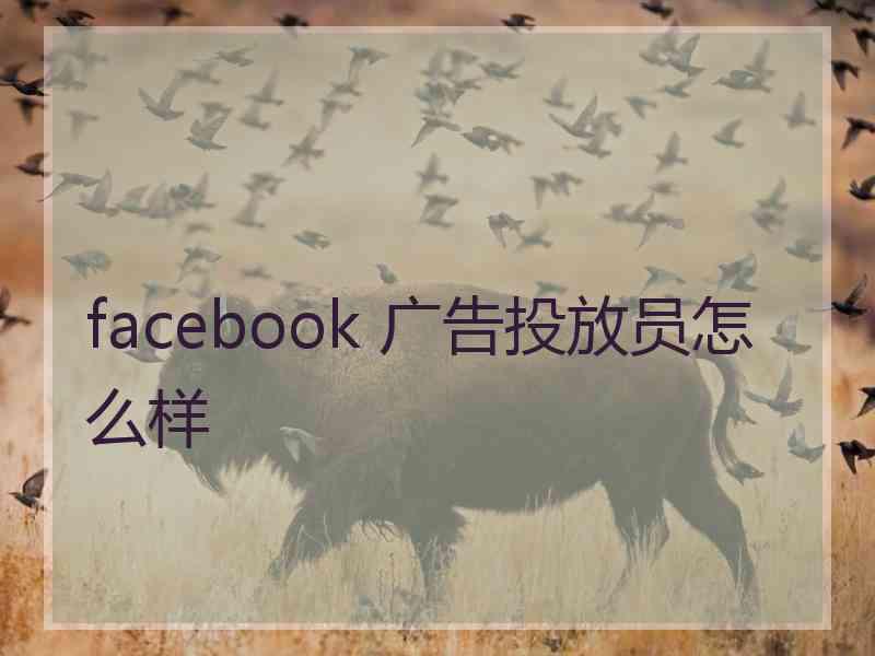 facebook 广告投放员怎么样