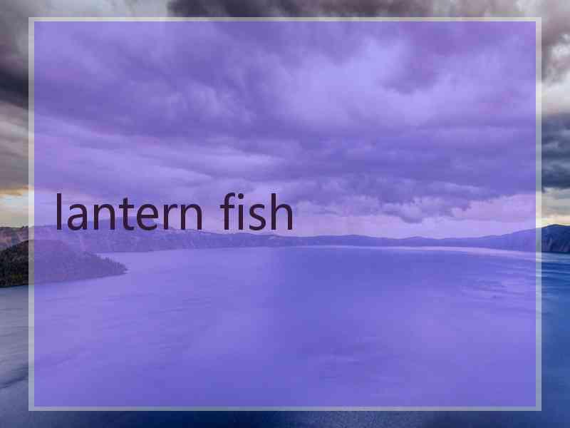 lantern fish