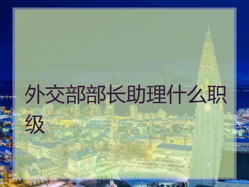 外交部部长助理什么职级