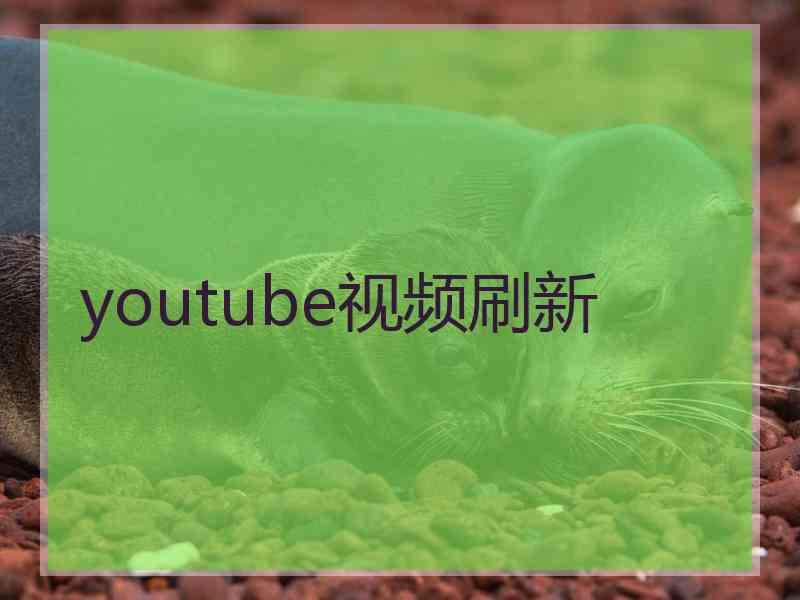 youtube视频刷新