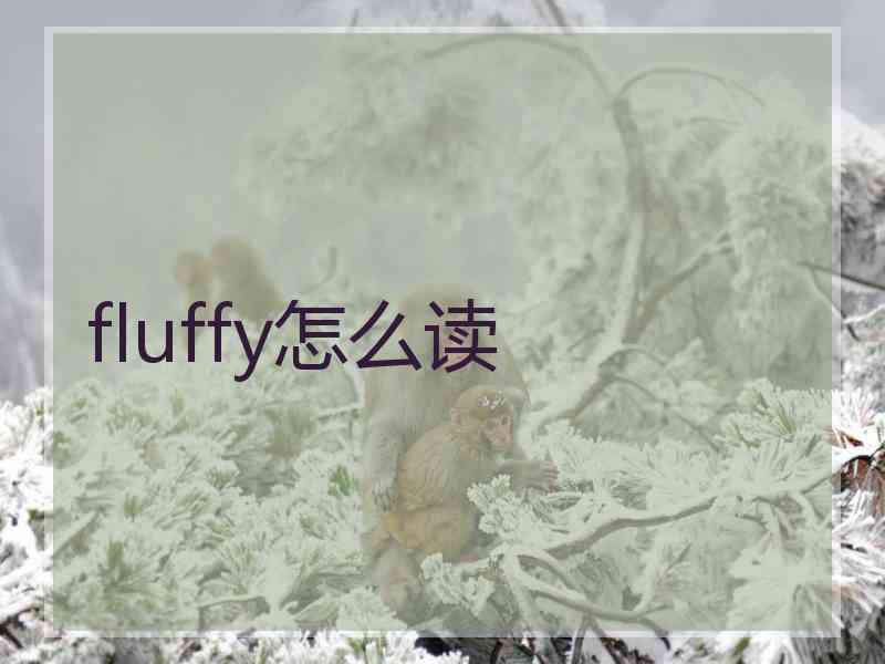 fluffy怎么读