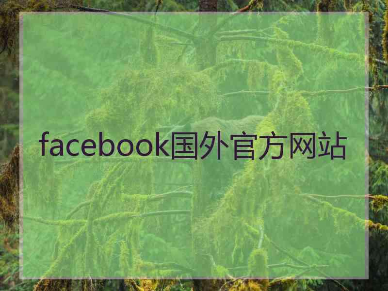 facebook国外官方网站