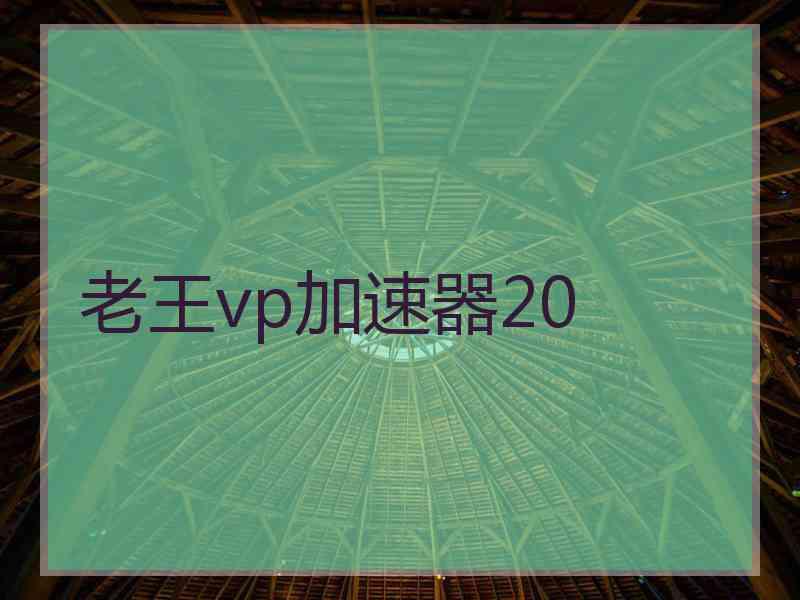 老王vp加速器20