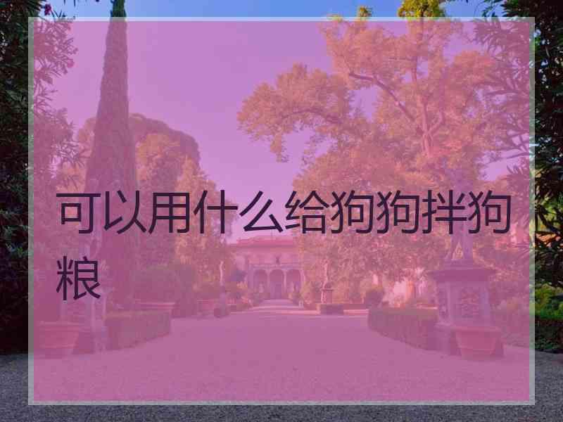 可以用什么给狗狗拌狗粮