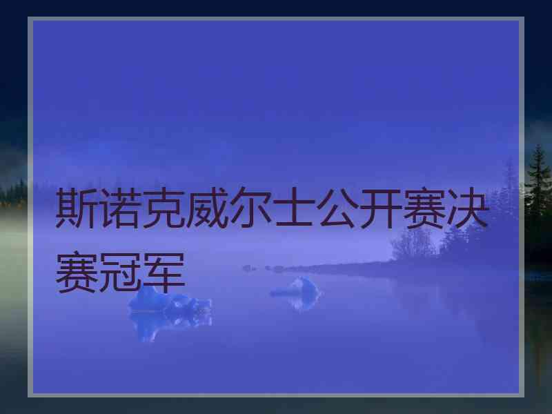 斯诺克威尔士公开赛决赛冠军