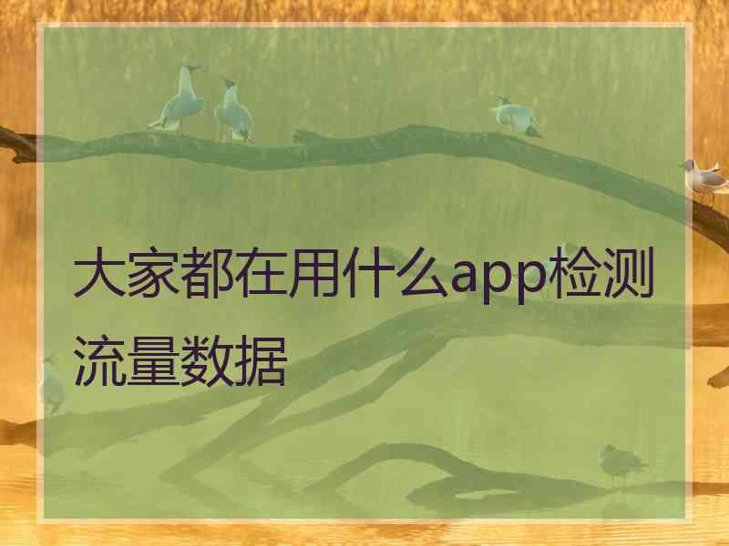 大家都在用什么app检测流量数据