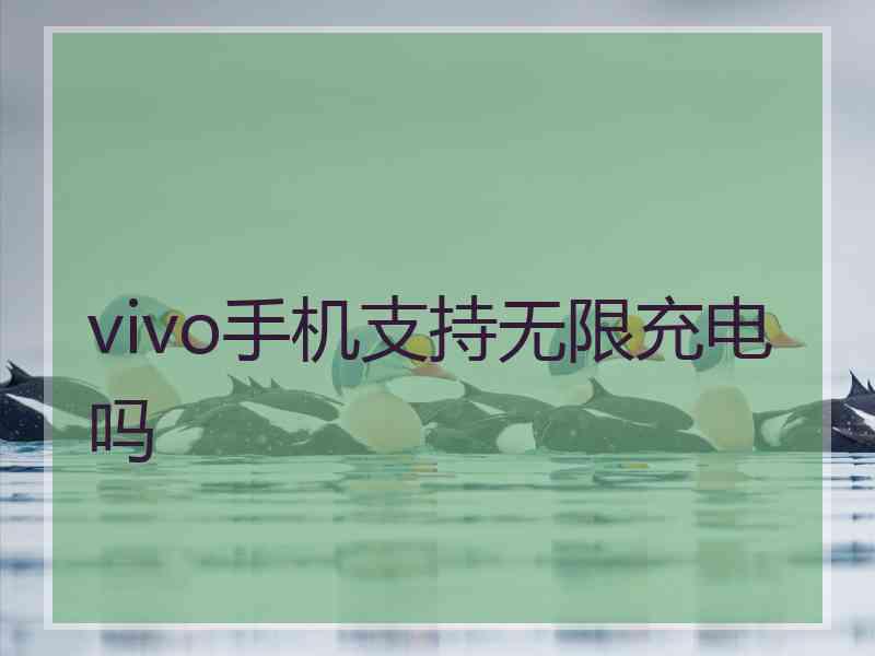 vivo手机支持无限充电吗